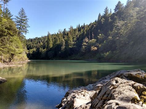 Redwood river resort - Redwoods River Resort & Campground, Leggett: See 786 traveller reviews, 462 user photos and best deals for Redwoods River Resort & Campground, ranked #1 of 2 Leggett specialty lodging, rated 4.5 of 5 at Tripadvisor.